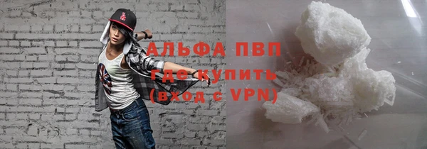 соль ск Новозыбков