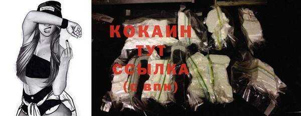 соль ск Новозыбков