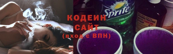 соль ск Новозыбков