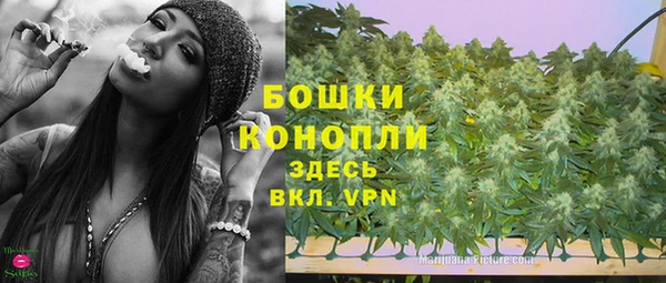 соль ск Новозыбков