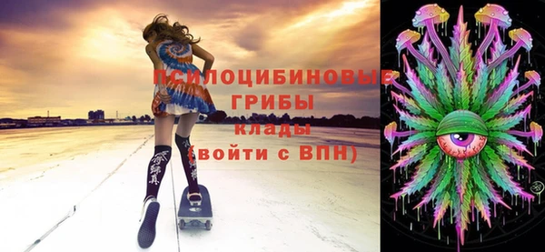 соль ск Новозыбков