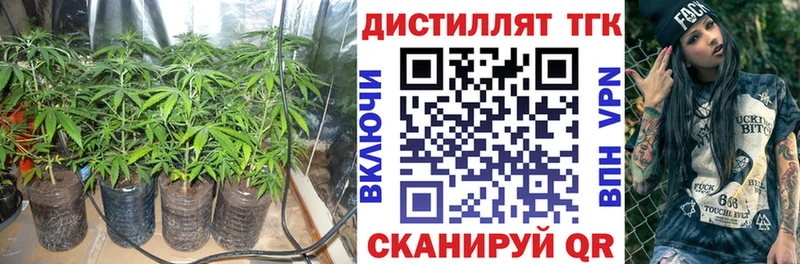 где продают наркотики  Шиханы  Дистиллят ТГК концентрат 