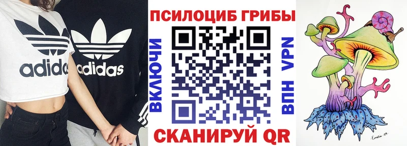 Галлюциногенные грибы прущие грибы  MEGA ссылка  Шиханы  закладки 