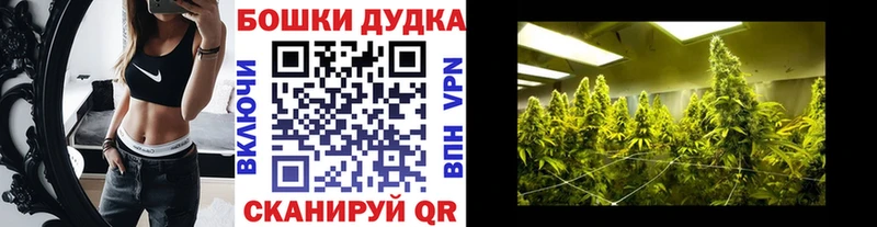 Канабис план сколько стоит Шиханы